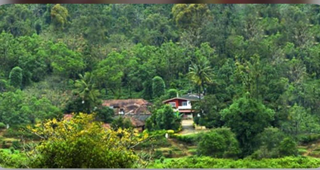 Coorg Naladi Holidays Kakkabe Dış mekan fotoğraf